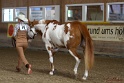 22-APHA HOTC_008